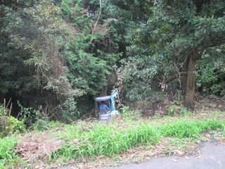 IMG_2175.jpg
