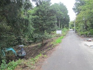 IMG_2179.jpg