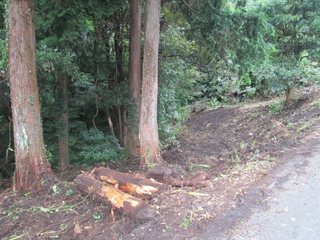 IMG_2182.jpg