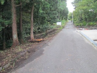 IMG_2183.jpg